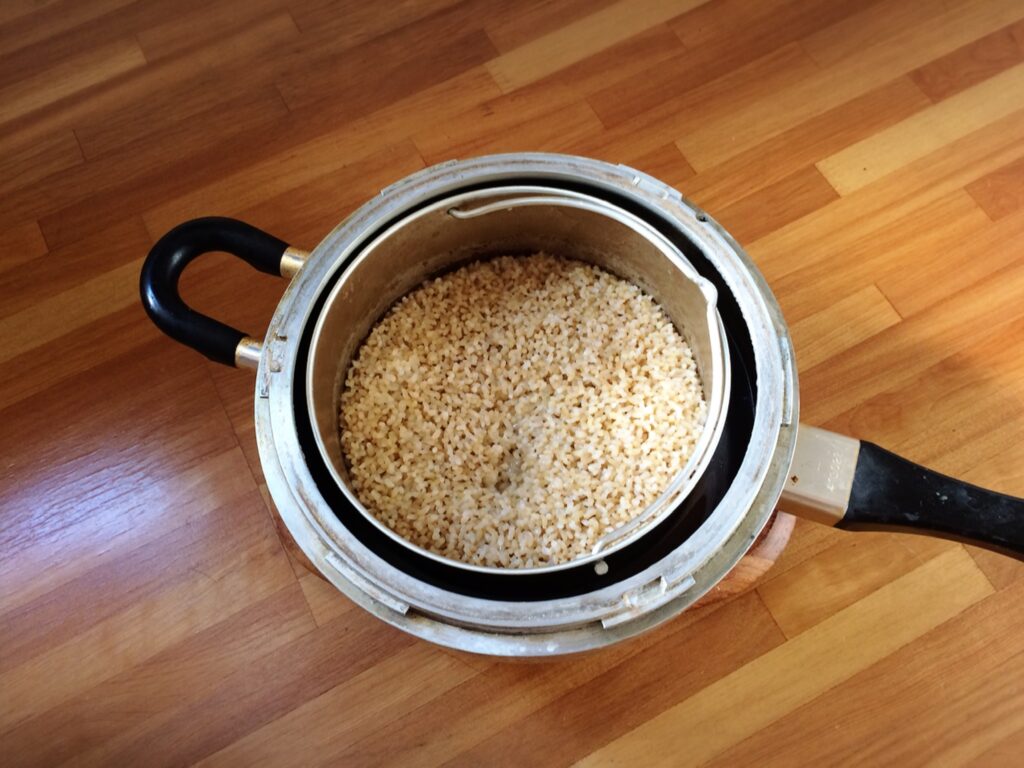 炊き立ての玄米ご飯