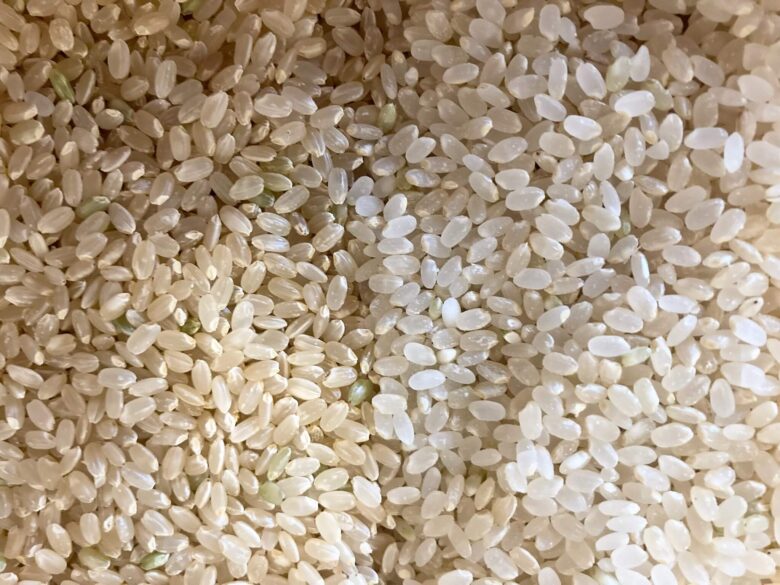 玄米胚芽米比較