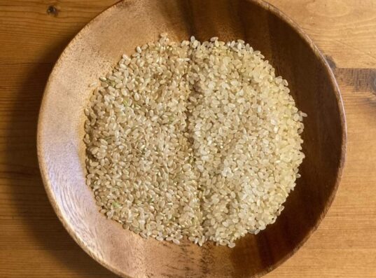 分づき米と玄米の比較画像