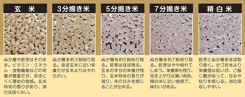 玄米、分づき米の比較画像